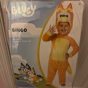 Kids Bingo Halloween costume.